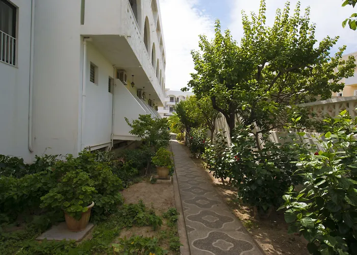 International 2* بلدة كوس